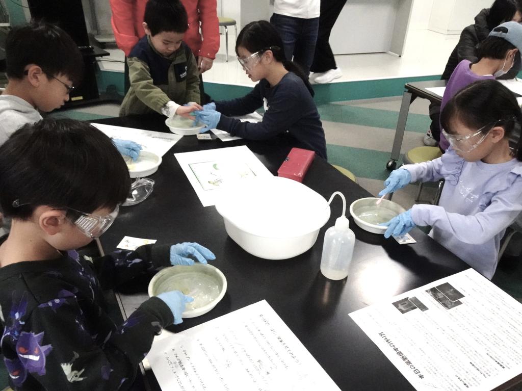「なぜなに？かがく実験教室」（２０２５年３月＝日本化学工業協会提供）