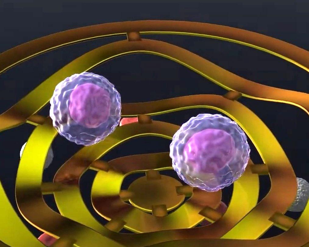 オジックテクノロジーズが熊本大学と共同開発するフィルター