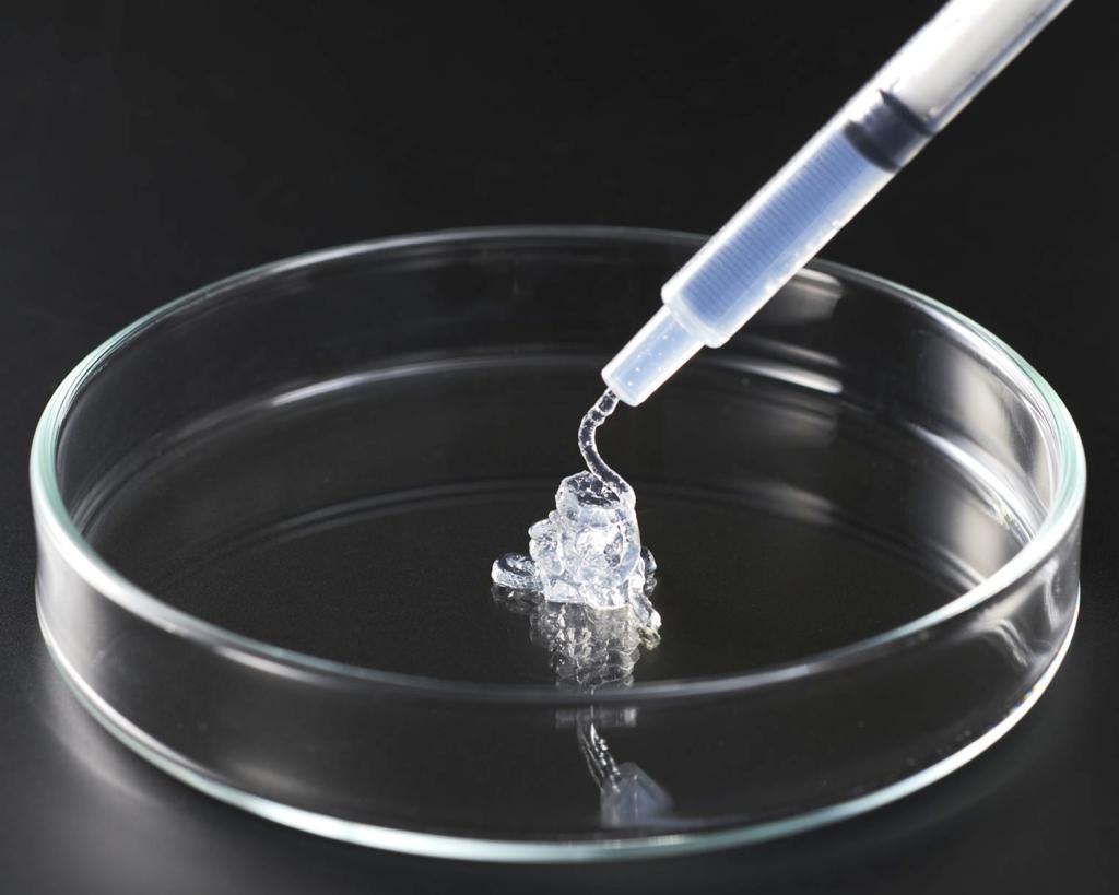 シルクエラスチン