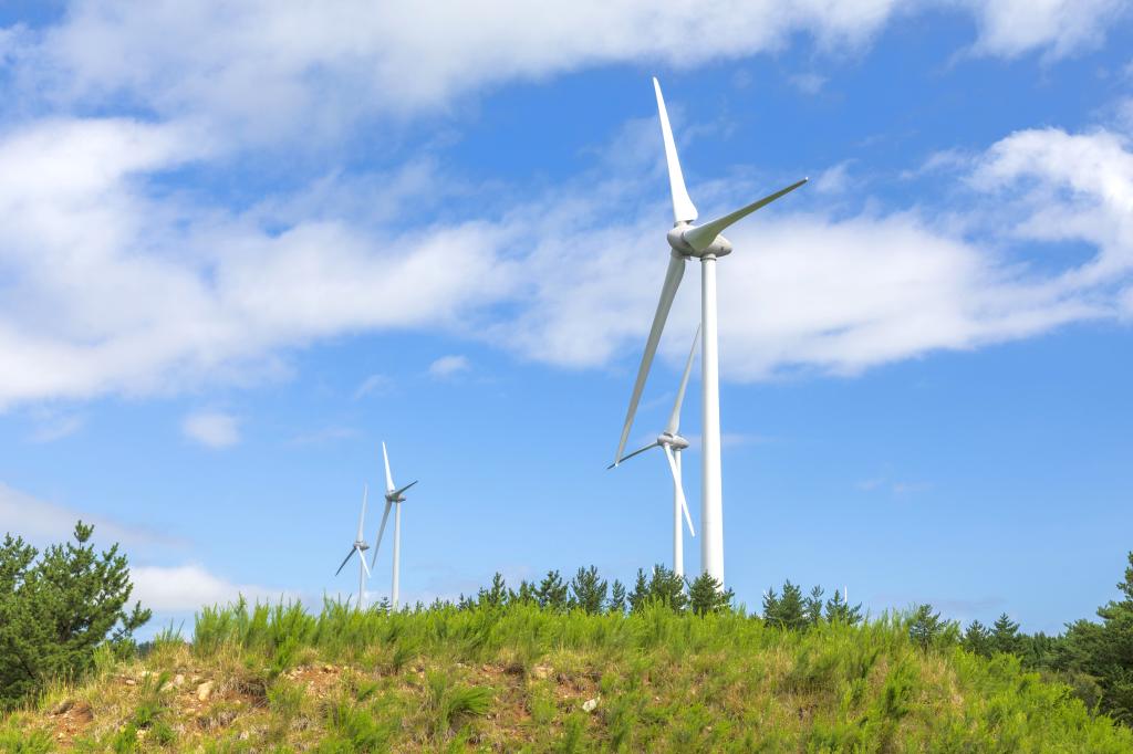 <strong>今年２月、政府は２０４０年度に再生エネを初めて最大電源とする目標を掲げた</strong>（Ｊパワー提供）