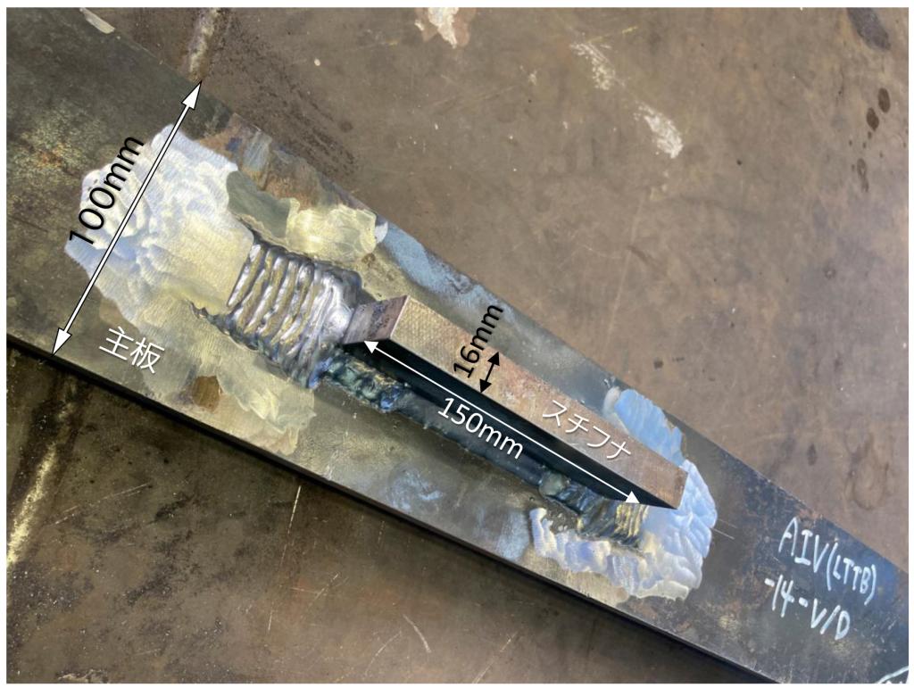 写真　大型疲労試験体（主板の長さ８００ｍｍ、幅１００ｍｍ、厚さ２０ｍｍ）