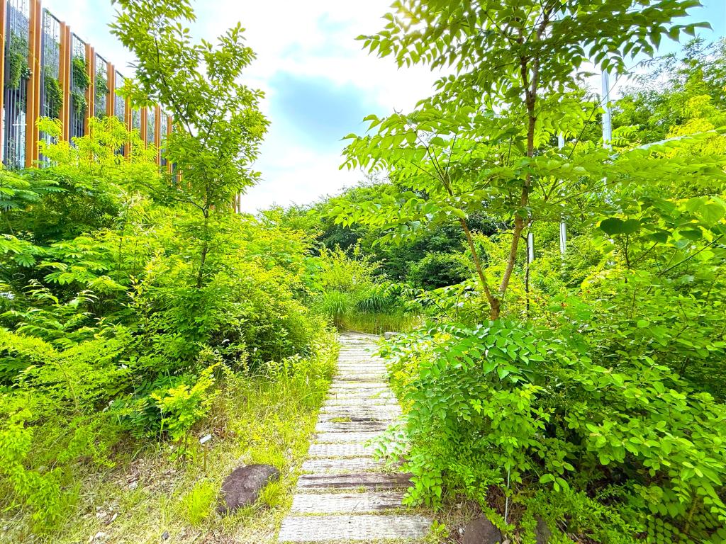 地域性在来植物のビオトープ ～つくば再生の里～