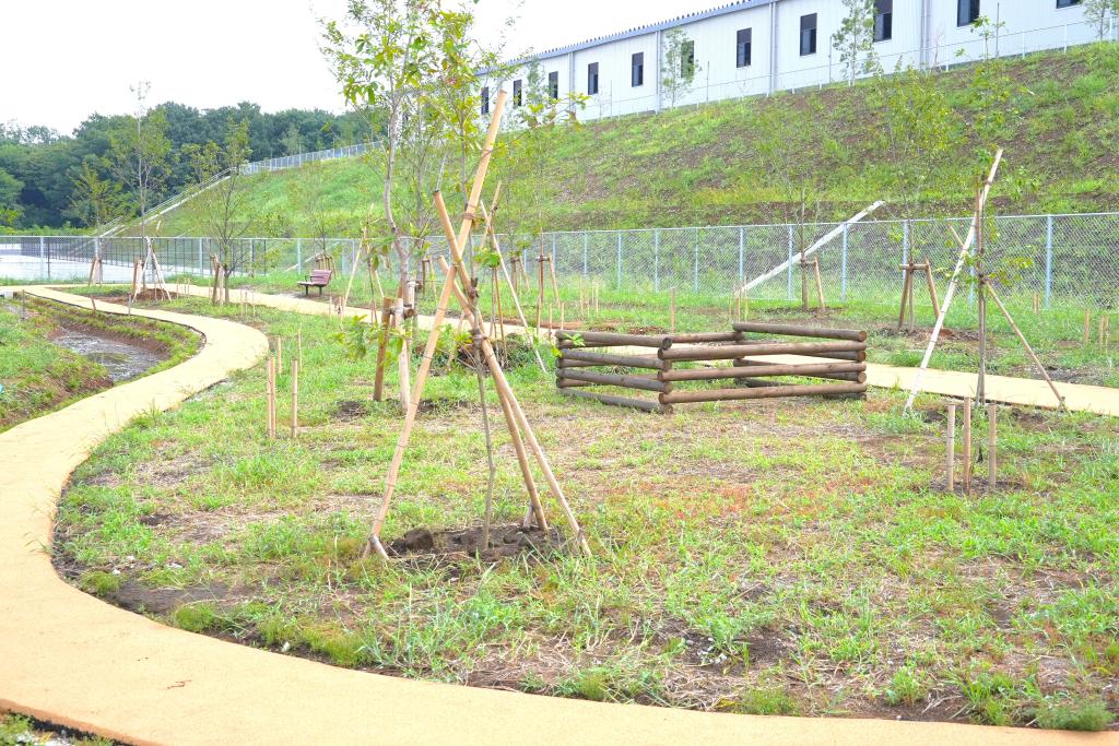 将来的に樹林を形成する外構植栽