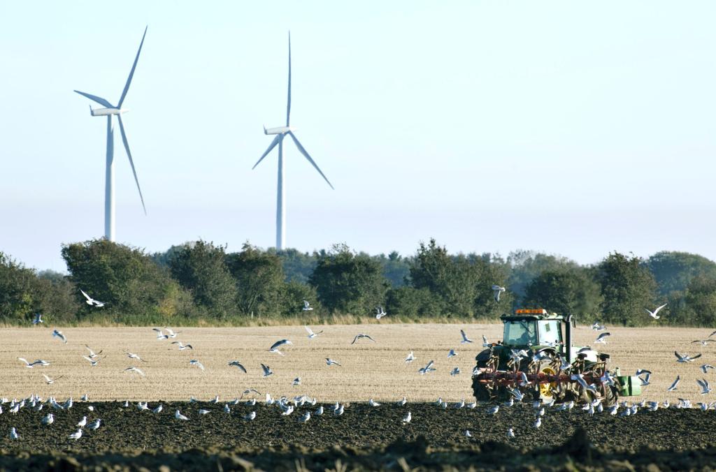 風力発電をはじめ、世界の環境・エネルギー分野を先導している（出典：ｓｔａｔｅｏｆｇｒｅｅｎ．ｃｏｍ）