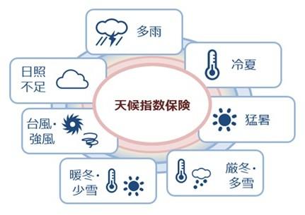 【アイデアネーミング賞】 三井住友海上火災保険の天候指数保険