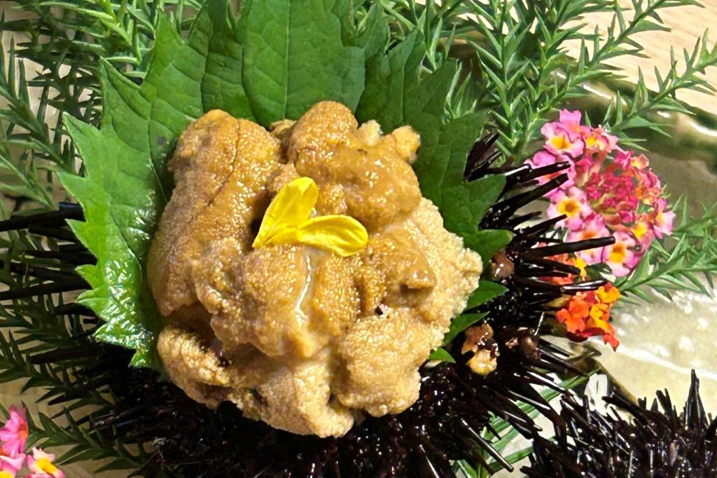 廃棄対象のうどんを餌に、育てられた新食材「讃岐うどん雲丹(うに)」(4面に関連記事)