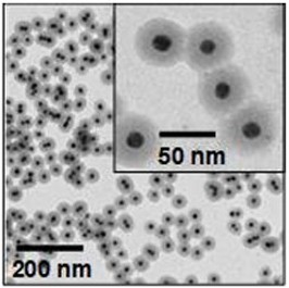 コアシェル型ナノ粒子