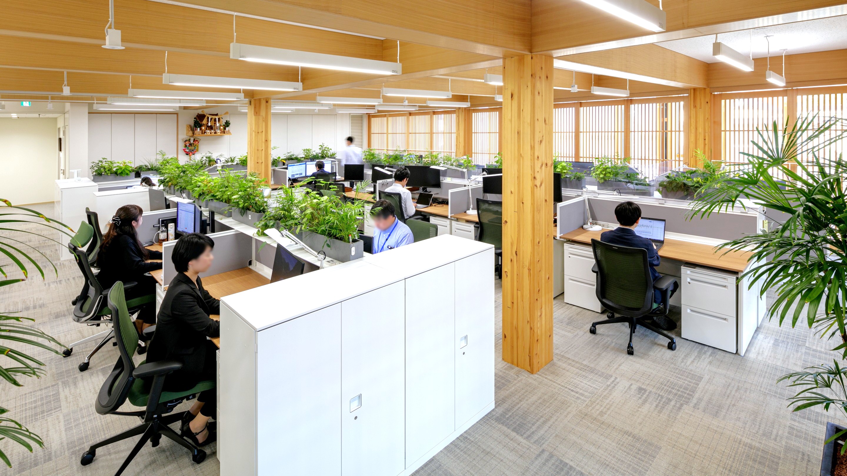 ダイダンの拠点ではバイオフィリックデザインを採用し、働く人が心地よさや安らぎを感じる空間を構築している（ダイダン北陸支店）