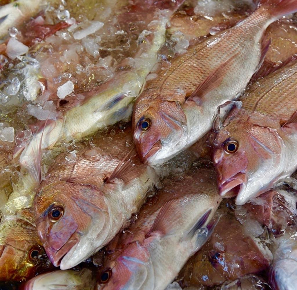 鮮度が見える化されると、小売り段階でエビデンスに基づいた食べ頃の時期が判断可能になる