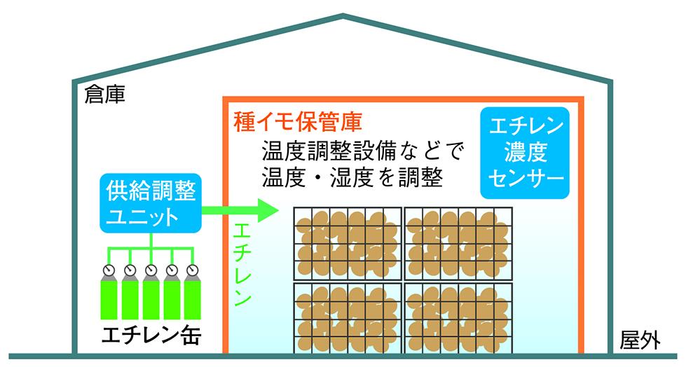 種ジャガイモ向けエチレン処理システム（イメージ＝岩谷産業）