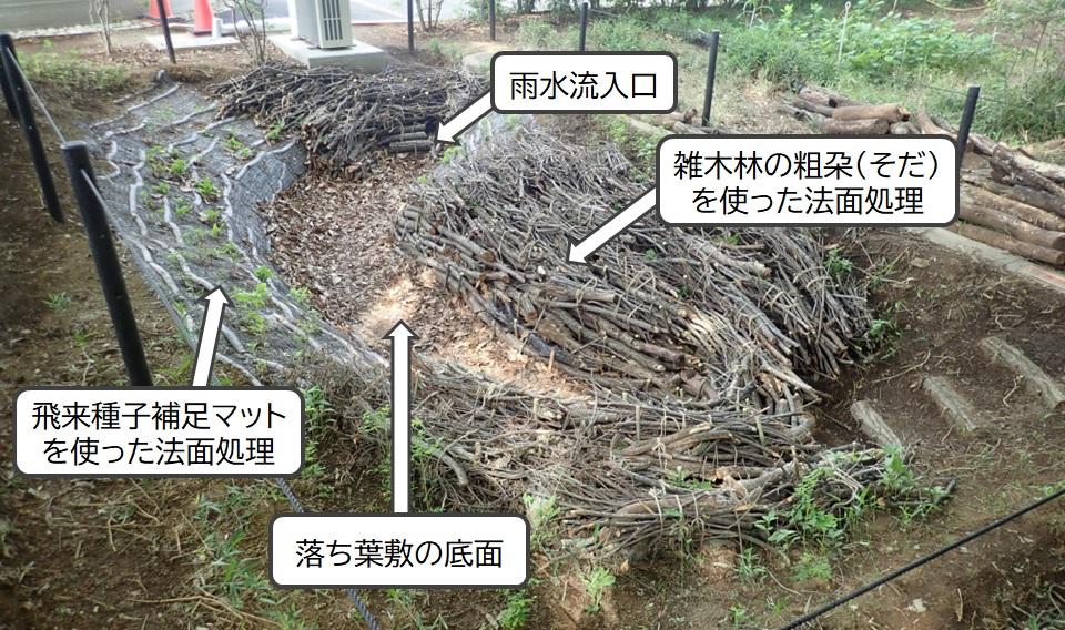 大林技術研究所に造成された落ち葉敷きの雨庭