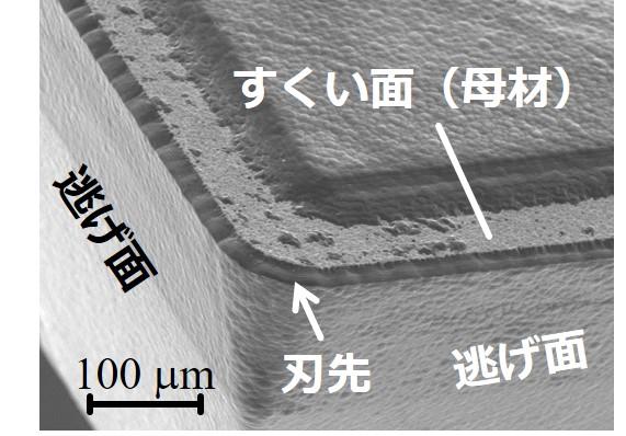 図２　鋭利刃処理した切れ刃