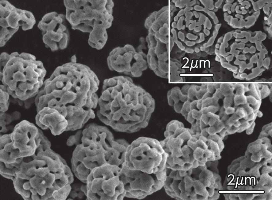 写真３　迷路状多孔質粒子とその内部構造（Ｍｎ３Ｏ４）
