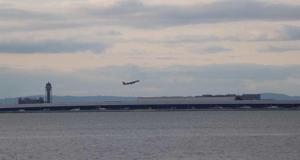 関西空港周辺の海では藻場が広がりCO2の貯留が期待される