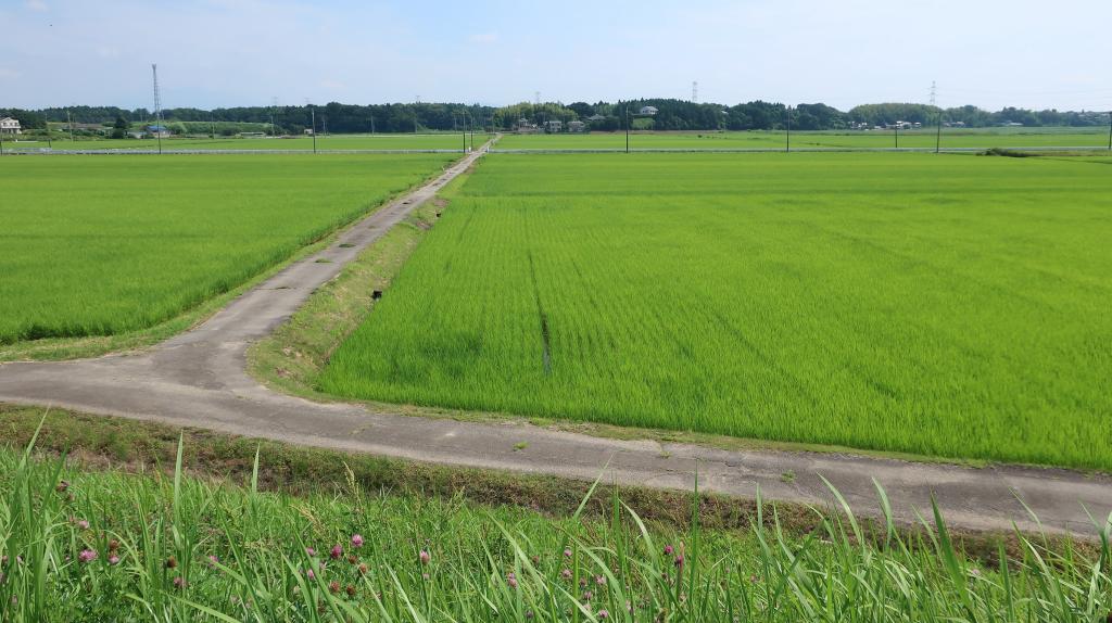 将来の気候変動を加味した対策や政策を再点検する必要がある