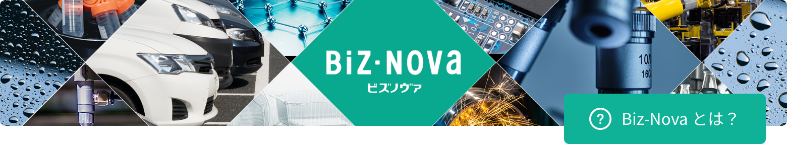 Biz-Novaとは?